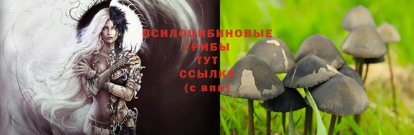 кокс Балабаново