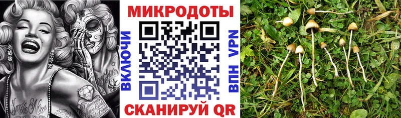 omg зеркало  Старая Купавна  Псилоцибиновые грибы GOLDEN TEACHER 